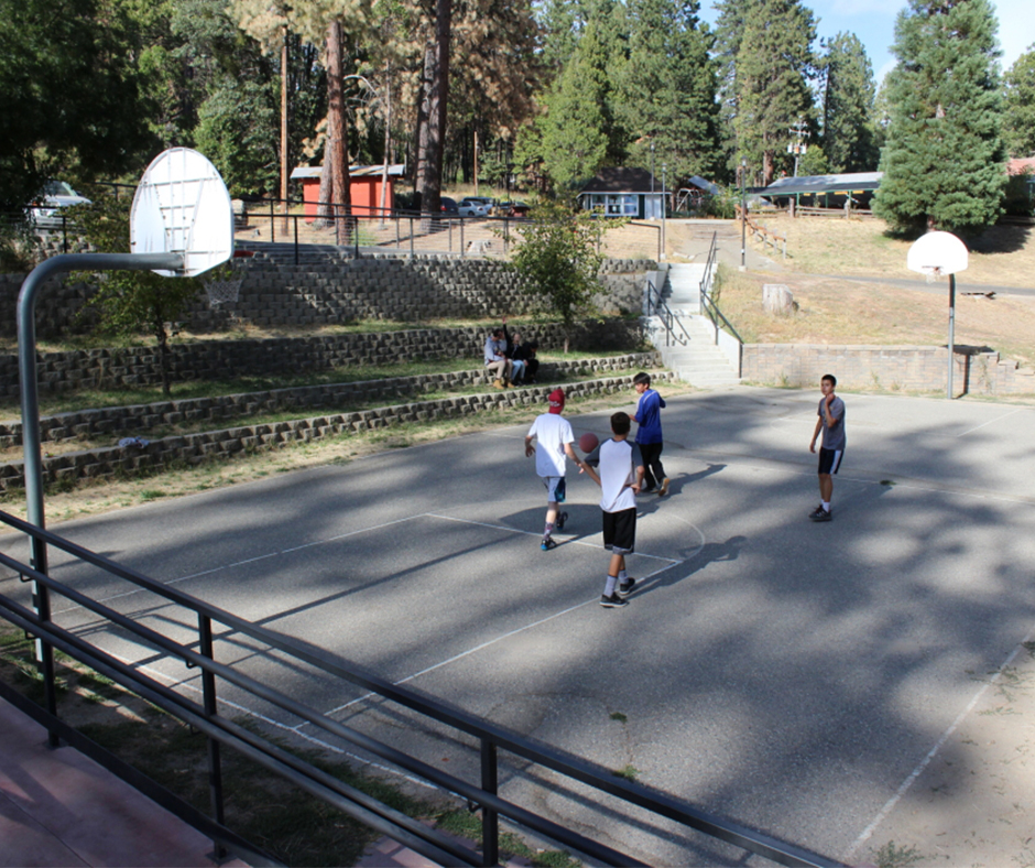 basketballweb
