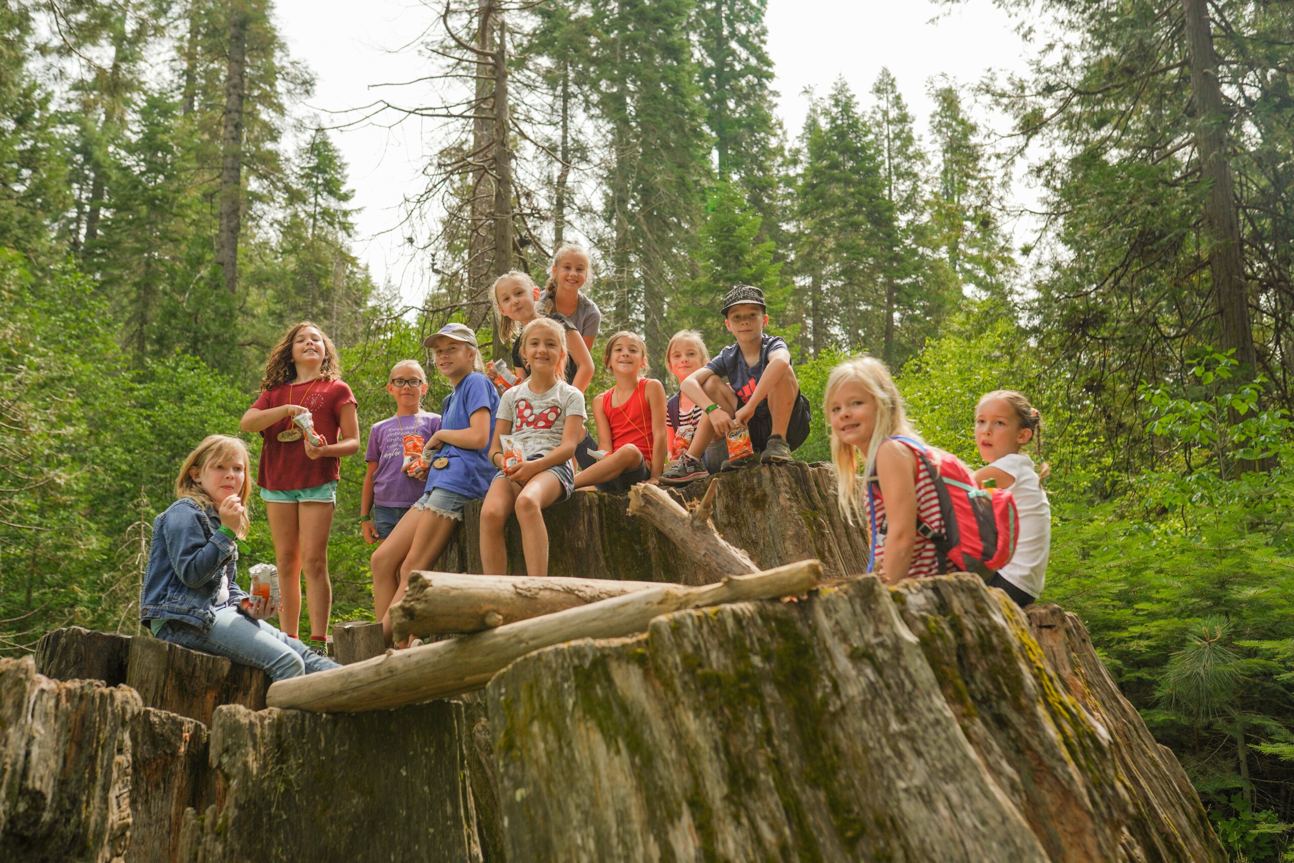Group of joyful children posing on a large tree stump in a lush forest.